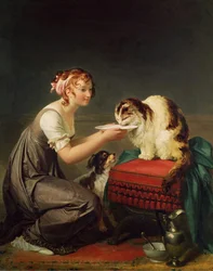 Il pranzo del gatto